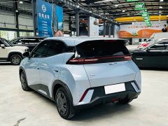 BYD Seagull 305km Vitality Edition - ფოტო 6