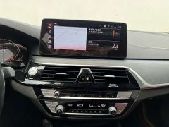 BMW 5 Series 530Li Premier M Sport Package - ფოტო 11