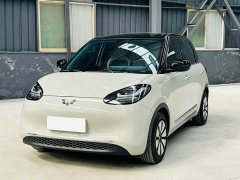 Wuling Binguo 410km Lingxi Premium Edition - ფოტო 1