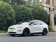 Tesla Model X 2023 Dual Motor All-Wheel Drive - ფოტო 1