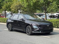 Wuling Xingguang 70 Standard - ფოტო 19