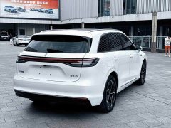 SAIC Shangjie H5 Extended Range Pro - photo 20