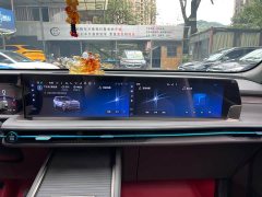 Li Auto Ford Edge L 2.0T EcoBoost FWD Seven-Seat Luxury - ფოტო 16