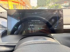 BYD Destroyer 05 Glory Edition DM-i 55KM Luxury - ფოტო 14