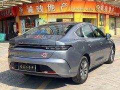 BYD Destroyer 05 Glory Edition DM-i 55KM Luxury - ფოტო 7