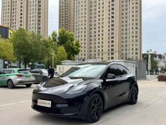 Tesla Model Y 2022 Facelift Rear-Wheel Drive - ფოტო 1