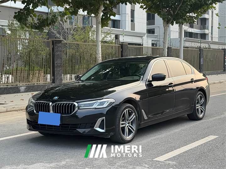 BMW 5 Series 530Li Premier Luxury Package - ავტომობილი ჩინეთიდან