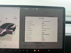 Tesla Model Y 2023 Rear-Wheel Drive - ფოტო 12