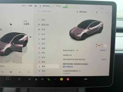 Tesla Model Y 2023 Rear-Wheel Drive - ფოტო 13