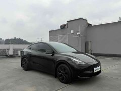 Tesla Model Y 2023 Rear-Wheel Drive - ფოტო 3