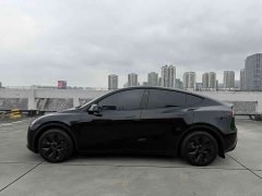 Tesla Model Y 2023 Rear-Wheel Drive - ფოტო 6