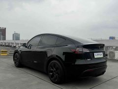 Tesla Model Y 2023 Rear-Wheel Drive - ფოტო 7