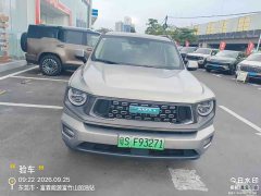 Haval Big Dog PLUS New Energy Hi4 102km Trendy Electric Edition Plus - ფოტო 2