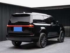 Lexus GX Peak Edition - ფოტო 5