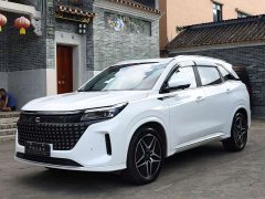 BYD Yuan Plus EV Glory Edition 100KM Premium 7-Seater - ფოტო 1