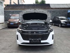 BYD Yuan Plus EV Glory Edition 100KM Premium 7-Seater - ფოტო 13