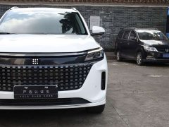 BYD Yuan Plus EV Glory Edition 100KM Premium 7-Seater - ფოტო 20