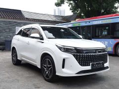 BYD Yuan Plus EV Glory Edition 100KM Premium 7-Seater - ფოტო 3