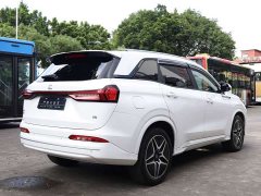 BYD Yuan Plus EV Glory Edition 100KM Premium 7-Seater - ფოტო 7