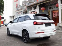 BYD Yuan Plus EV Glory Edition 100KM Premium 7-Seater - ფოტო 9