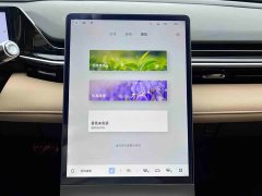 Geely Galaxy L6 125km Starship - ფოტო 18
