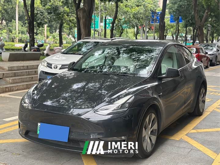 Tesla Model Y Standard Range RWD - ავტომობილი ჩინეთიდან