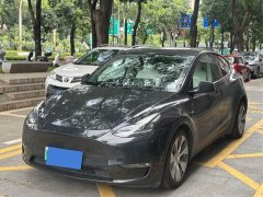 Tesla Model Y Standard Range RWD - ფოტო 1