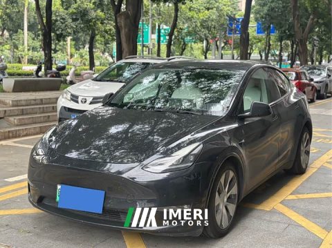 2021 Tesla Model Y Standard Range RWD - ავტომობილი ჩინეთიდან