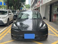 Tesla Model Y Standard Range RWD - ფოტო 2