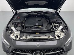 Mercedes-Benz CLS 2022 CLS 300 Luxury - ფოტო 8