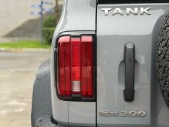 Tank 300 2023 2.0T Iron Cavalry 02 - ფოტო 10