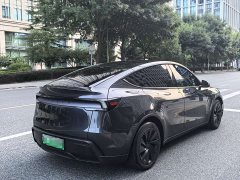Tesla Model Y Rear-Wheel Drive - ფოტო 5