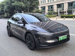 Tesla Model Y Rear-Wheel Drive - ფოტო 6