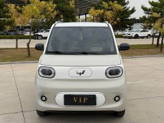 BMW Hongguang MINIEV Third Generation 215km Advanced Edition - ფოტო 2