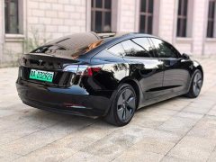 Tesla Model 3 2022 Rear-Wheel Drive - ფოტო 10