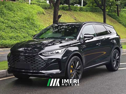 2024 BYD Tang New Energy DM-p War God Edition - ავტომობილი ჩინეთიდან