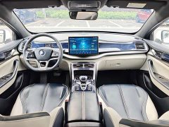 BYD Qin Plus EV 500KM Luxury - ფოტო 16