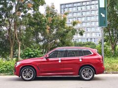BMW X3 xDrive25i M Sport Package - ფოტო 5