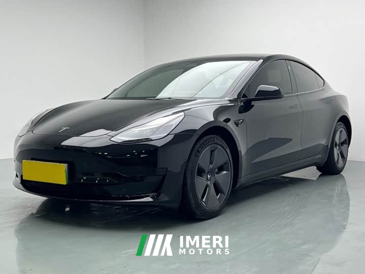 Tesla Model 3 Standard Range RWD Upgrade 3D6