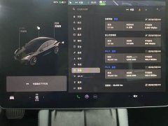 Tesla Model 3 Standard Range RWD Upgrade 3D6 - ფოტო 11