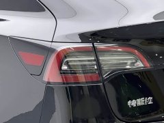 Tesla Model 3 Standard Range RWD Upgrade 3D6 - ფოტო 18