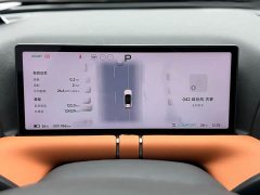 XPeng G9 2022 650 Performance Max - ფოტო 18