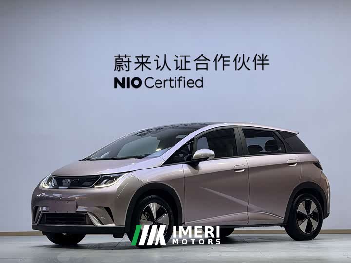 BYD Dolphin 420km Fashion Edition - ავტომობილი ჩინეთიდან