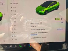 Tesla Model 3 2022 Rear-Wheel Drive - ფოტო 10