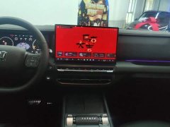 Tank 300 2025 2.0T Gasoline Challenger - ფოტო 13