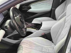 BYD Dolphin 550km Standard Range RWD Luxury - ფოტო 15