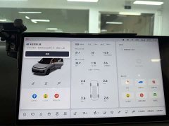 Li Auto L8 Max - ფოტო 19