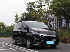 Maxus G10 2.0T Manual Multifunctional Diesel 7-Seater - ფოტო 3