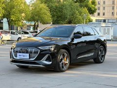 Audi e-tron 2021 50 quattro Premium - ფოტო 1