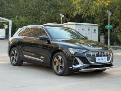 Audi e-tron 2021 50 quattro Premium - ფოტო 3